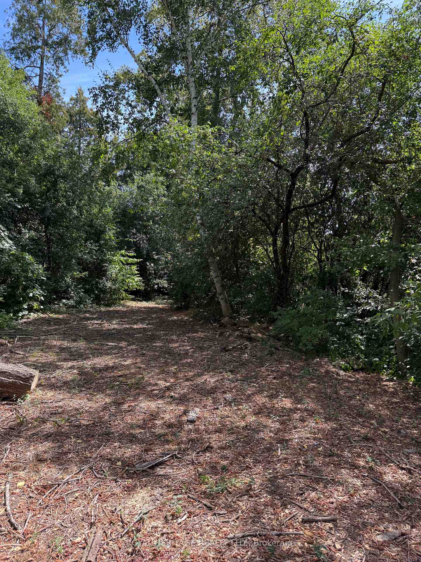 Photo 3 of 1839 (Part 1) Pine Grove Avenue, Pickering, Highbush — HOMEH