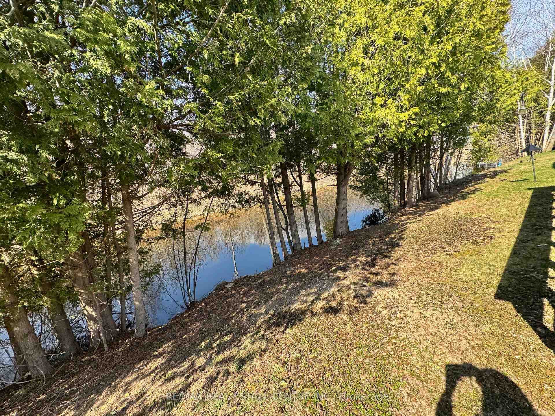 Photo 17 of 35 Water Street, Puslinch, Morriston — HOMEH