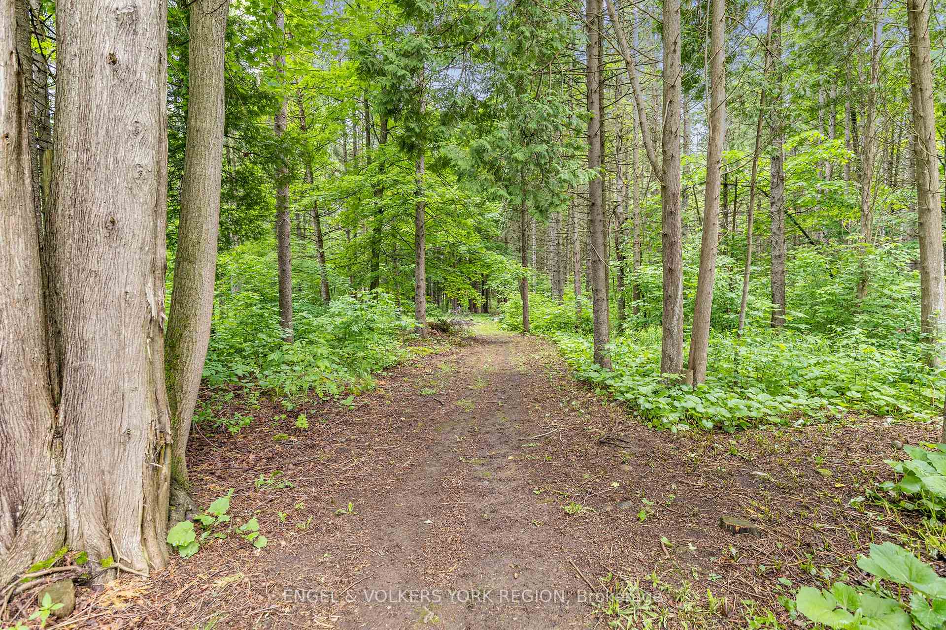 Photo 45 of 5175 Pineridge Drive, Milton, Rural Nassagaweya — HOMEH