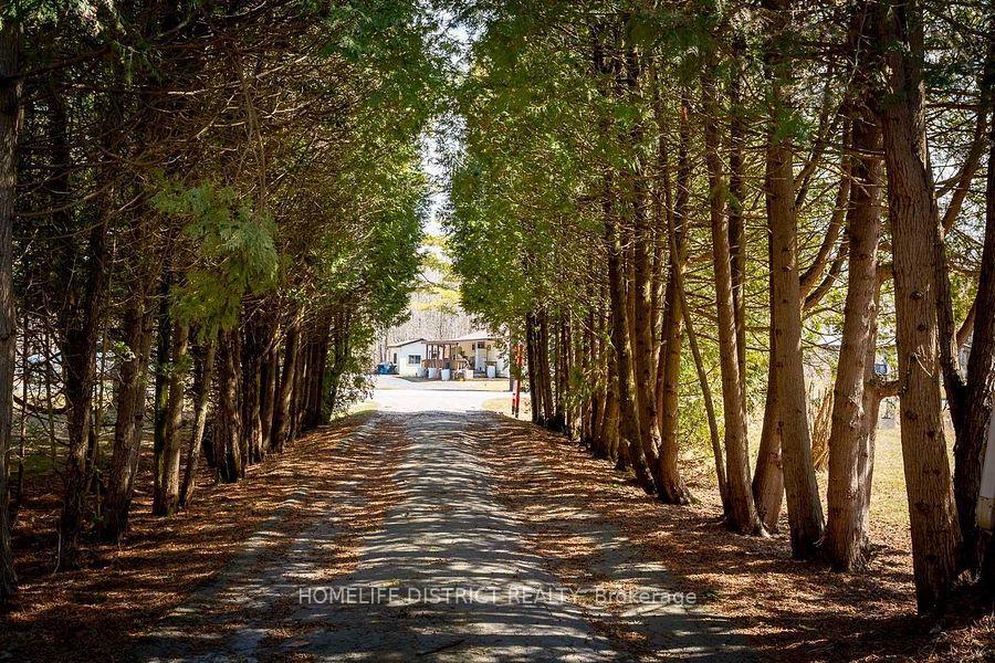 Photo 28 of 102 Parkview Road, Prince Edward County, Ameliasburg Ward — HOMEH