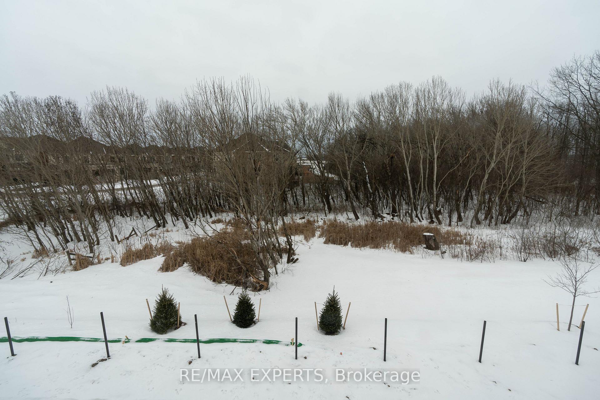 Photo 20 of 575 Celandine Terrace, Milton, Walker — HOMEH