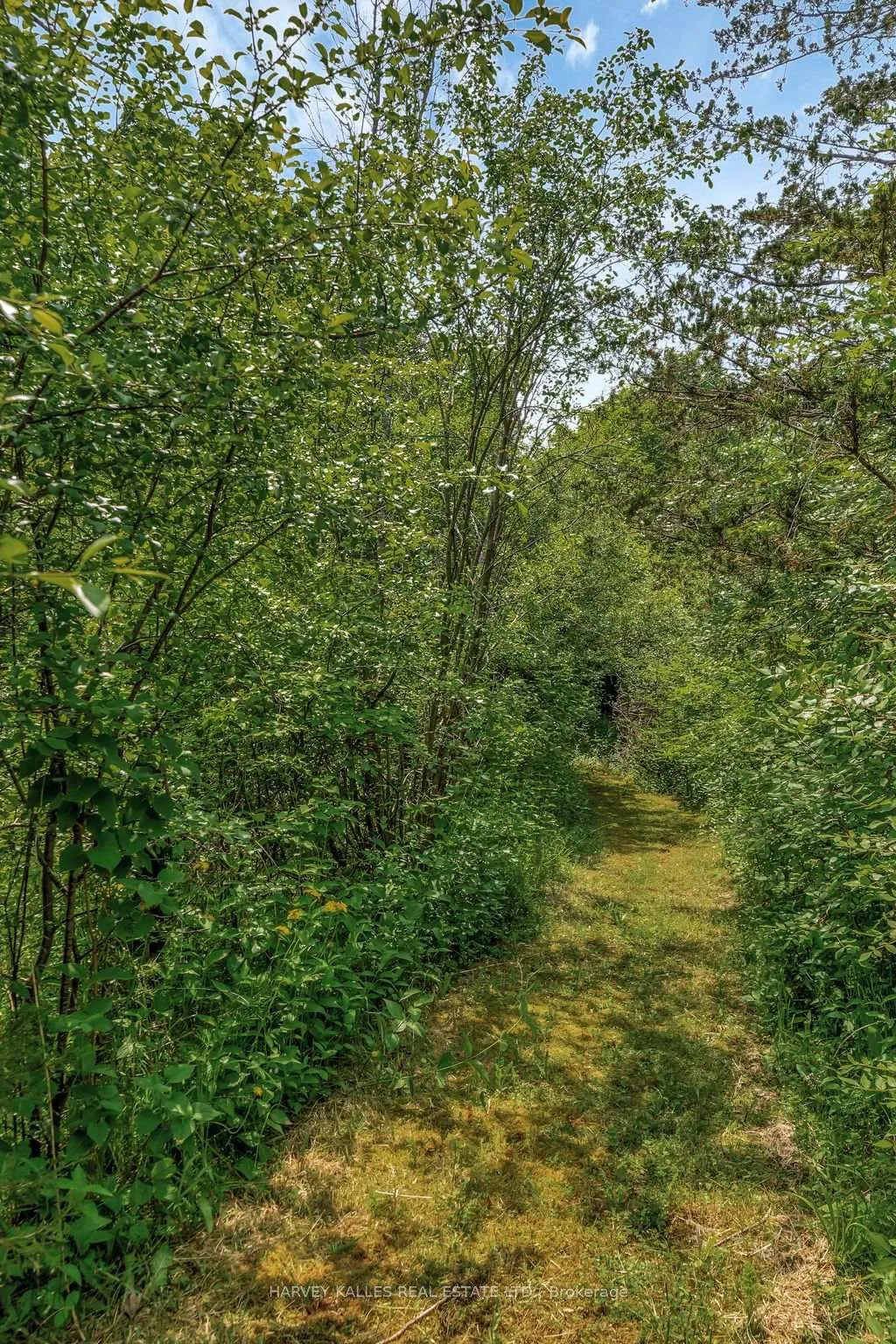 Photo 23 of 2992 County Rd 7, Prince Edward County, North Marysburg Ward — HOMEH