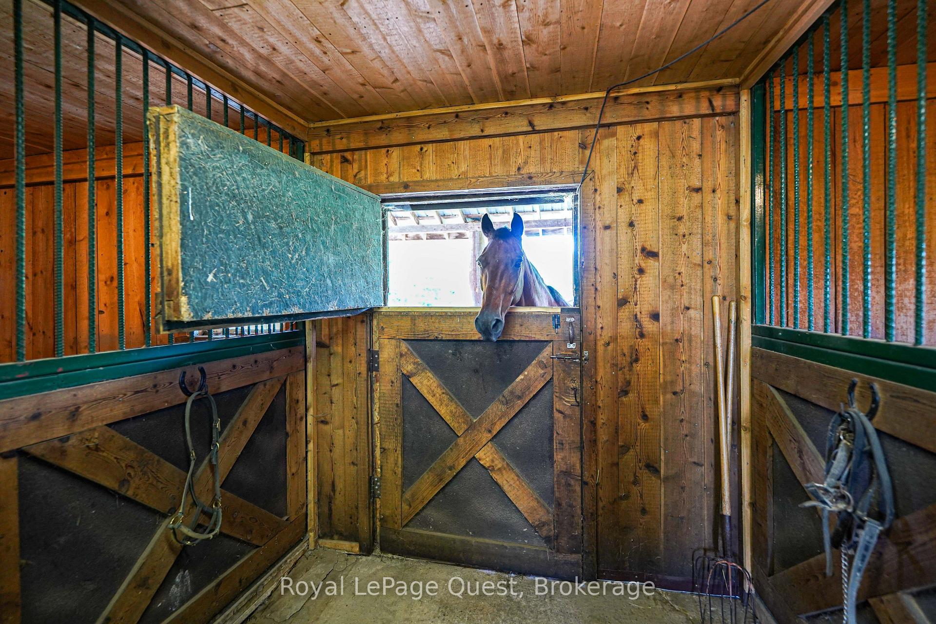 Photo 10 of 3891 Monck Road, Ramara, Rural Ramara — HOMEH