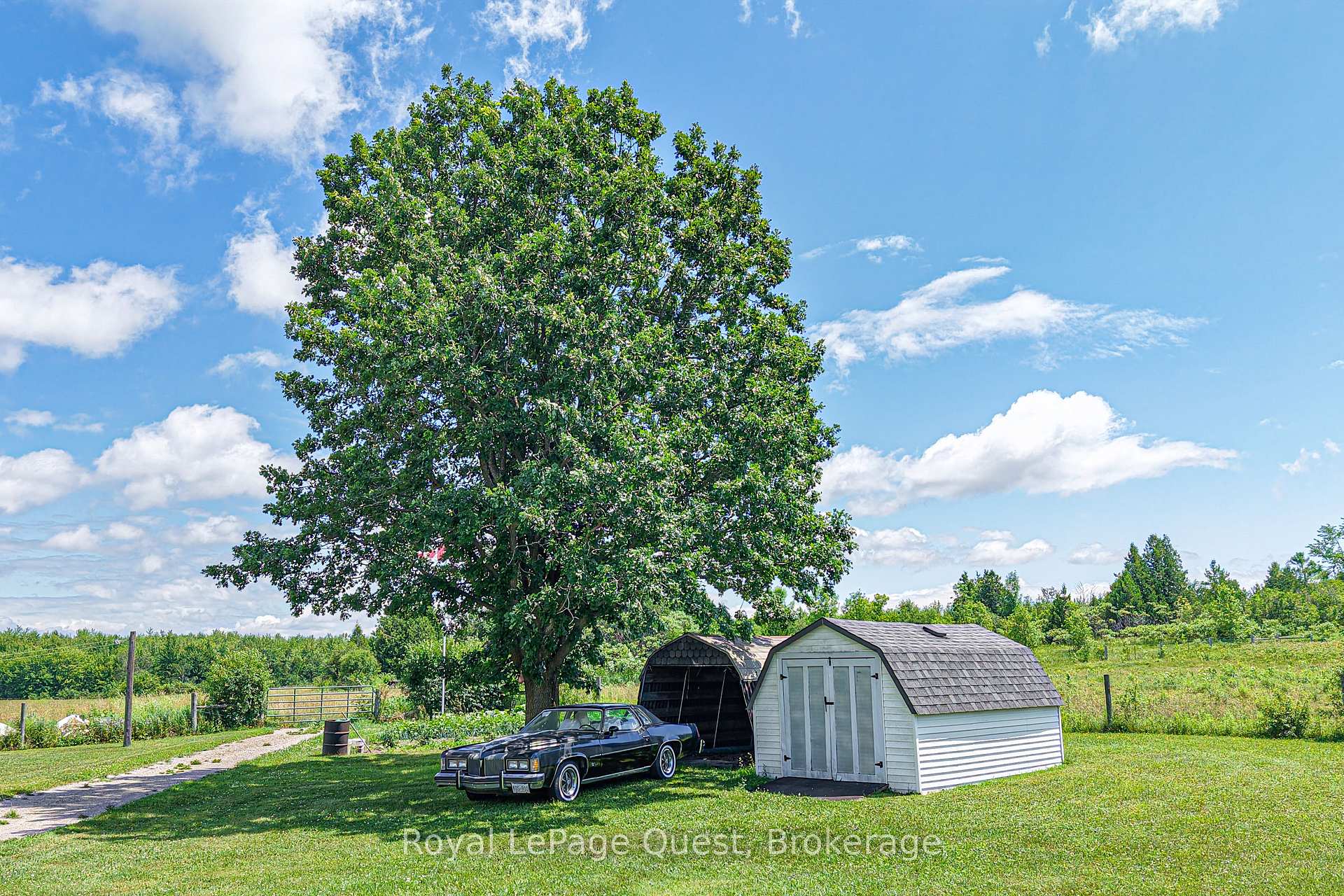 Photo 13 of 3891 Monck Road, Ramara, Rural Ramara — HOMEH