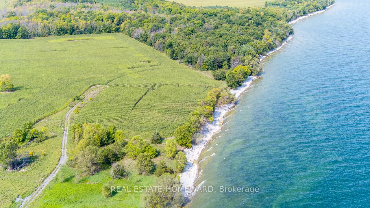 Photo 3 of 138 Jarvis Lane, Prince Edward County, North Marysburg Ward — HOMEH