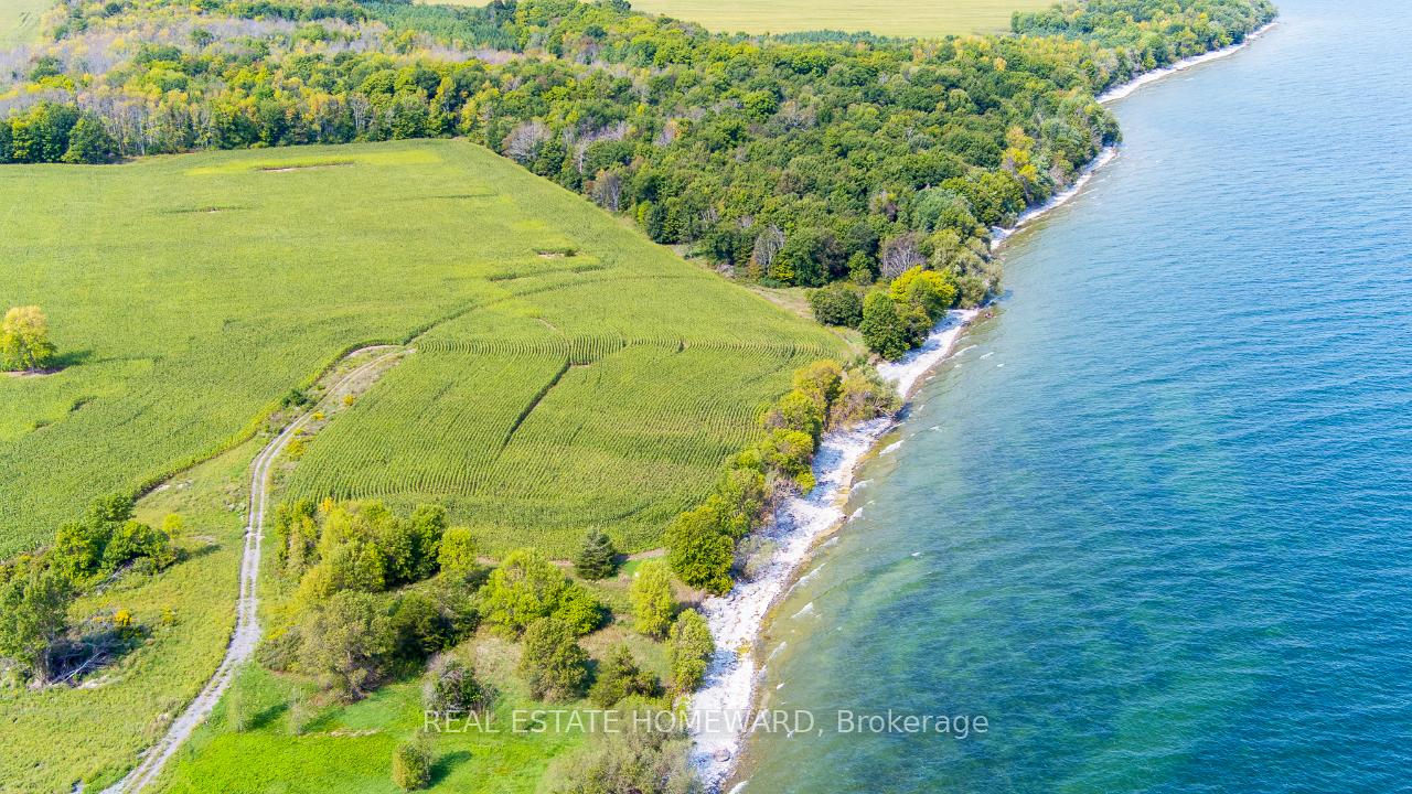 Photo 7 of 138 Jarvis Lane, Prince Edward County, North Marysburg Ward — HOMEH