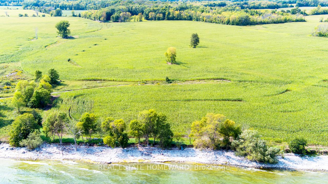 Photo 8 of 138 Jarvis Lane, Prince Edward County, North Marysburg Ward — HOMEH
