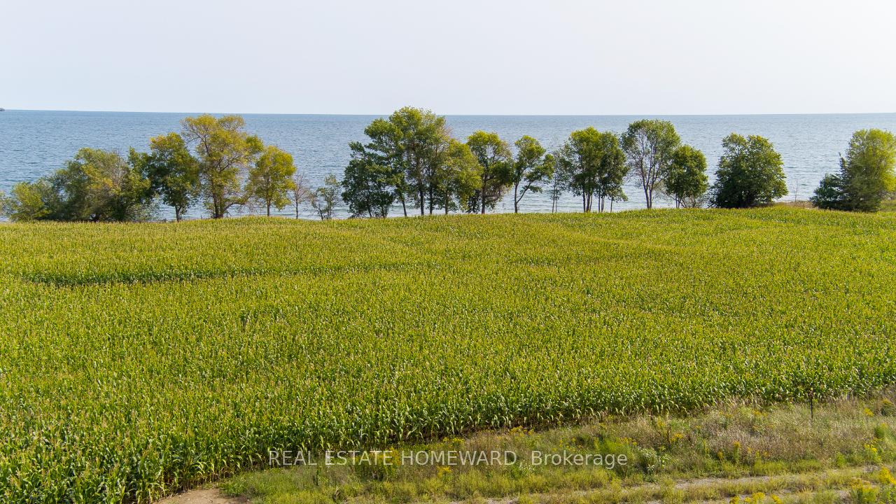 Photo 21 of 138 Jarvis Lane, Prince Edward County, North Marysburg Ward — HOMEH