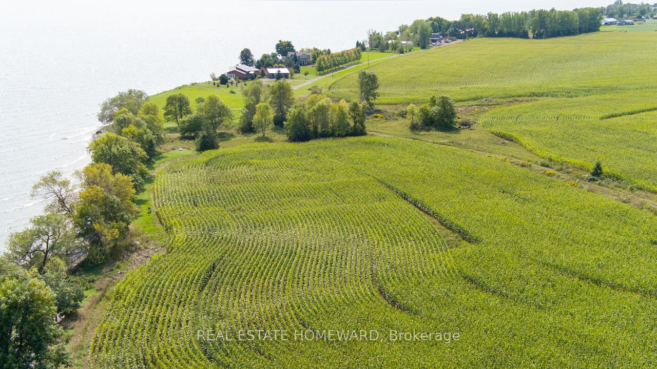 Photo 23 of 138 Jarvis Lane, Prince Edward County, North Marysburg Ward — HOMEH