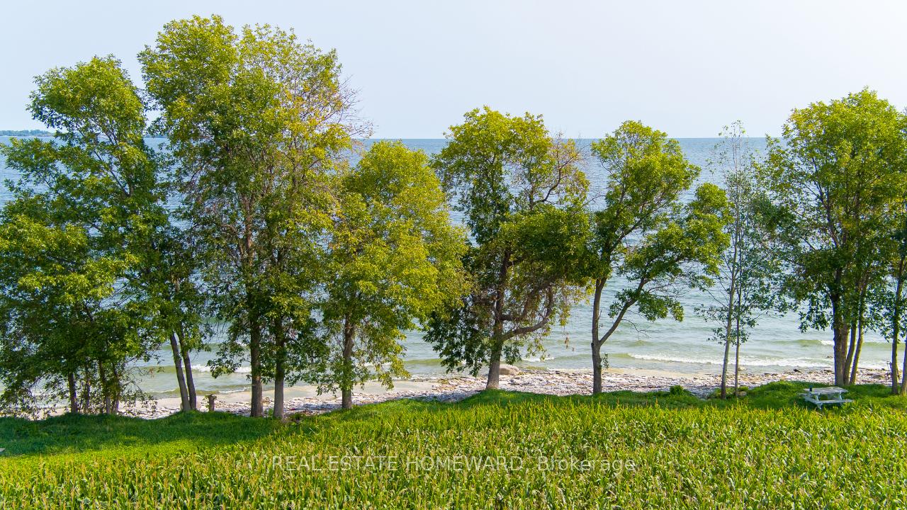Photo 29 of 138 Jarvis Lane, Prince Edward County, North Marysburg Ward — HOMEH