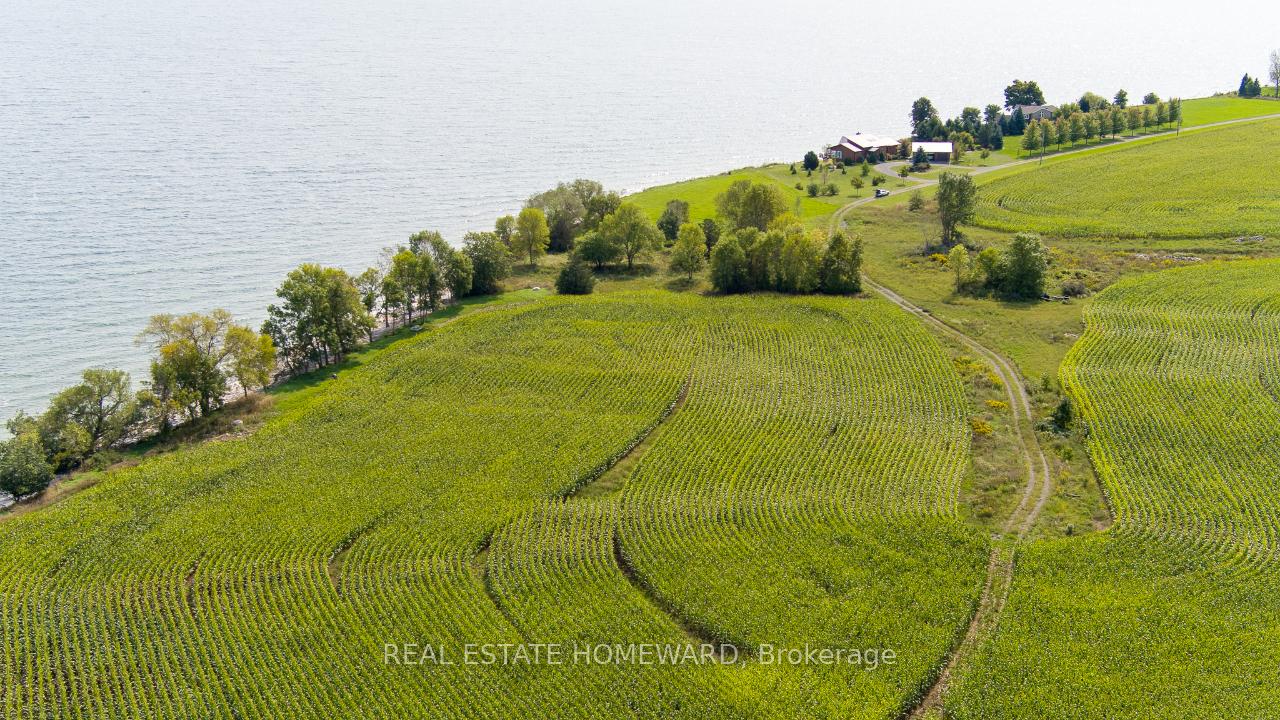 Photo 32 of 138 Jarvis Lane, Prince Edward County, North Marysburg Ward — HOMEH