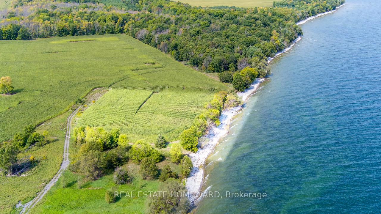 Photo 34 of 138 Jarvis Lane, Prince Edward County, North Marysburg Ward — HOMEH