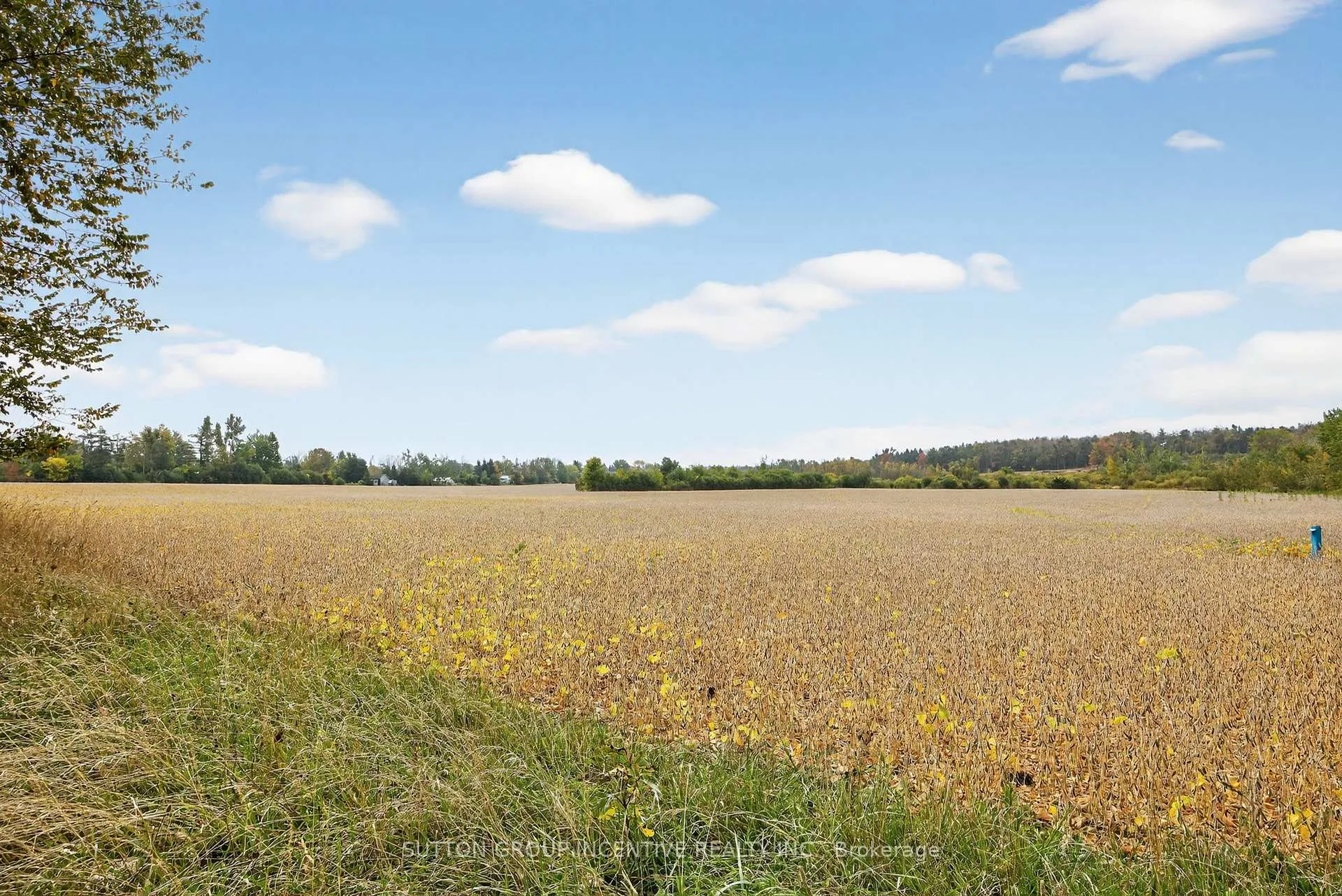 Photo 31 of 4652 Plum Point Road, Ramara, Atherley — HOMEH