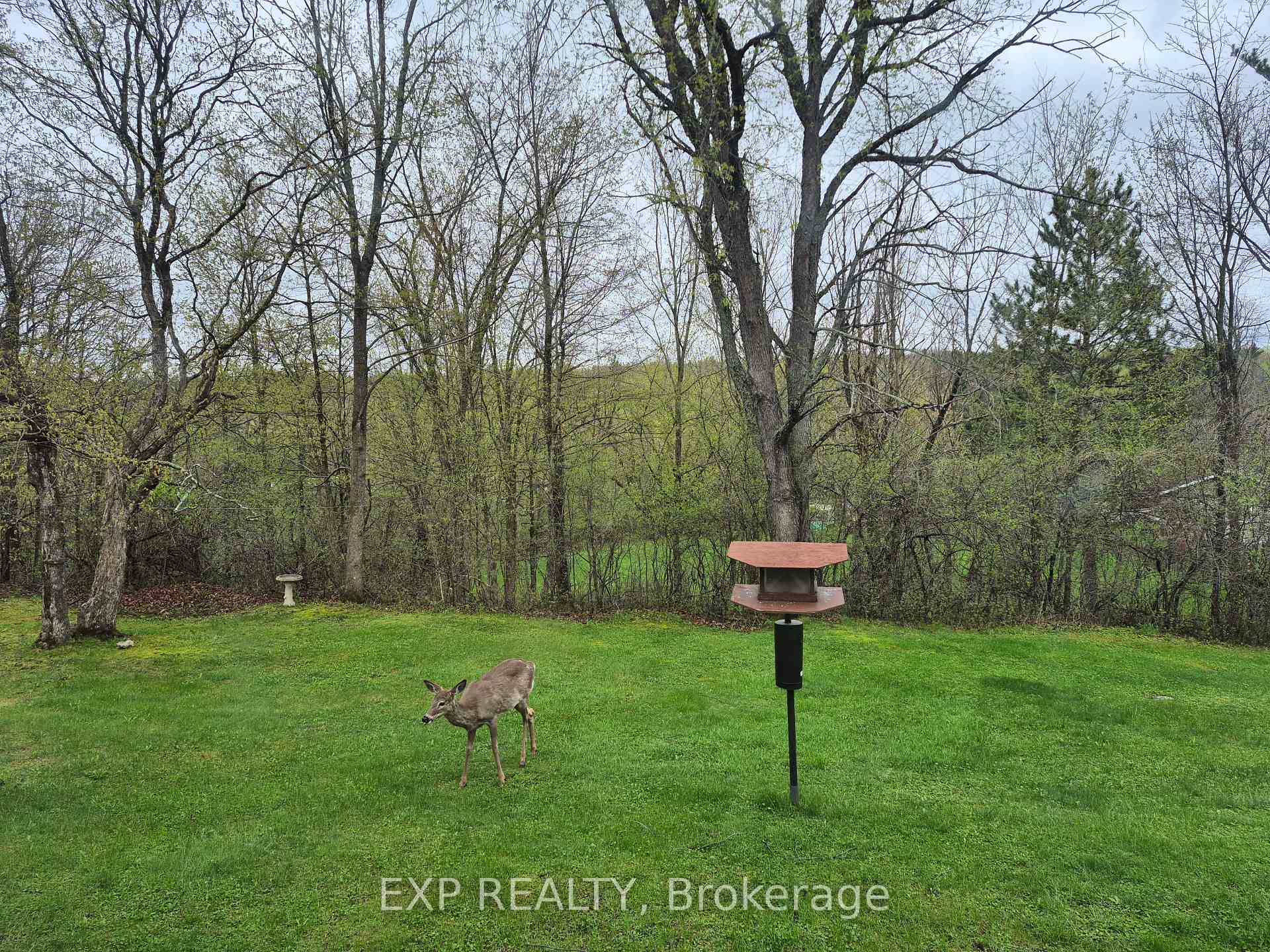 Photo 31 of 301 Opeongo Road, Renfrew — HOMEH
