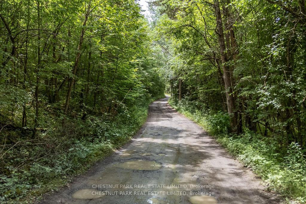 Photo 7 of 296 Green Point Lane, Prince Edward County, Sophiasburg Ward — HOMEH