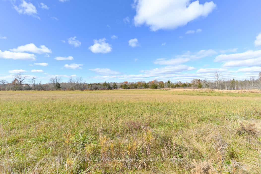 Photo 38 of 1997 Fry Road, Prince Edward County, Sophiasburgh — HOMEH