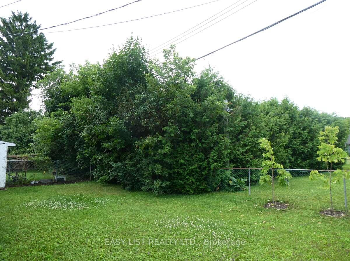 Photo 6 of 24 Wilson Street, Renfrew — HOMEH
