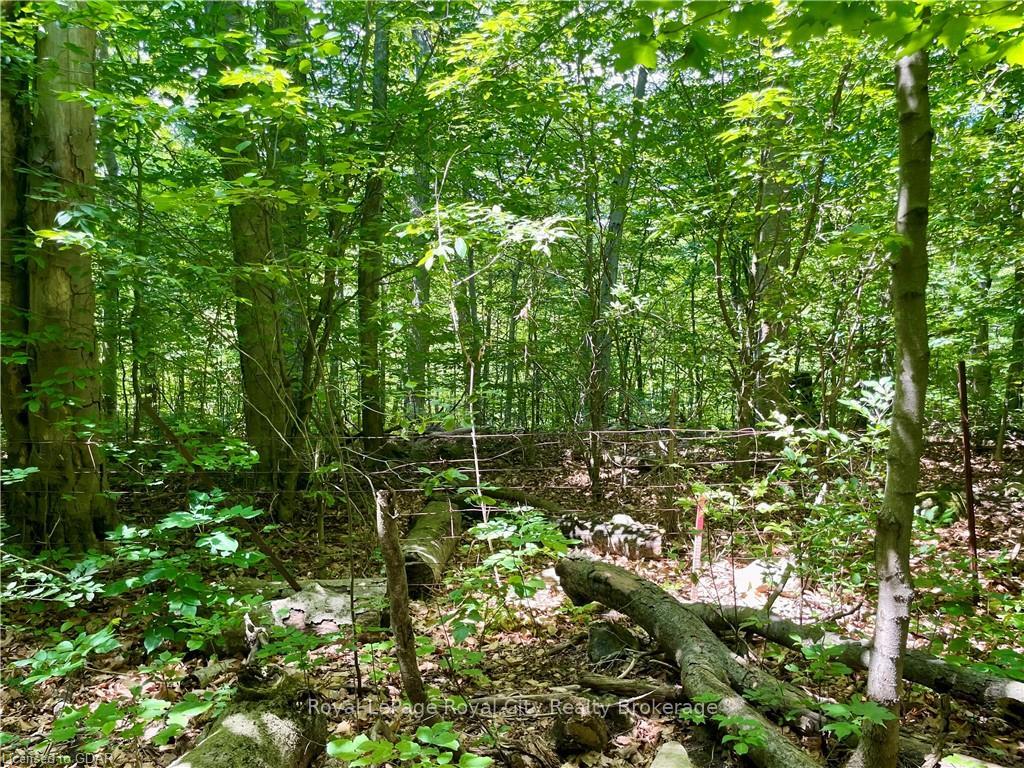 Photo 2 of 170 Hume Road, Puslinch, Rural Puslinch East — HOMEH