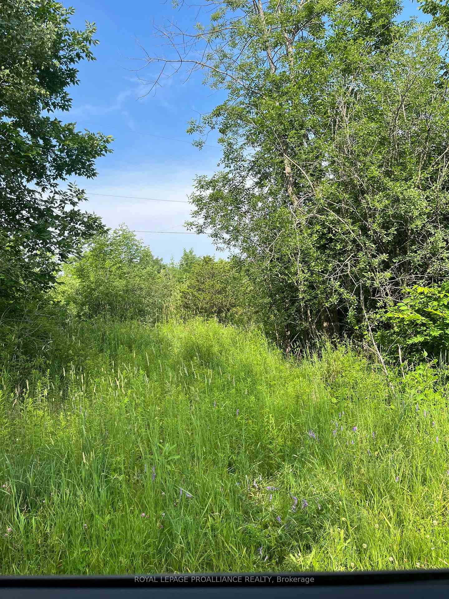 Photo 1 of PTLT14 Con 3, Rideau Lakes, Rideau Lakes (North Crosby) Twp — HOMEH