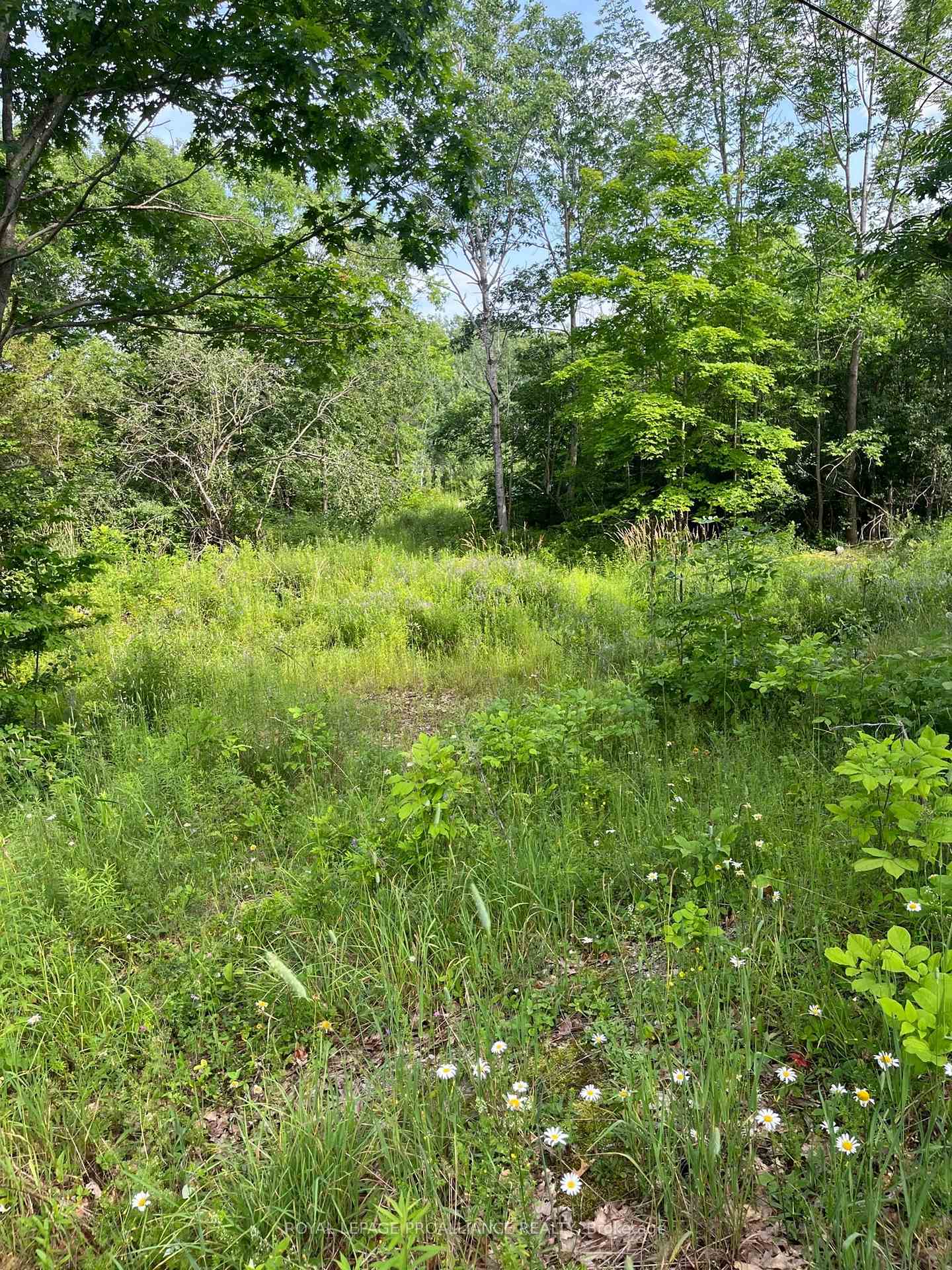 Photo 2 of PTLT14 Con 3, Rideau Lakes, Rideau Lakes (North Crosby) Twp — HOMEH