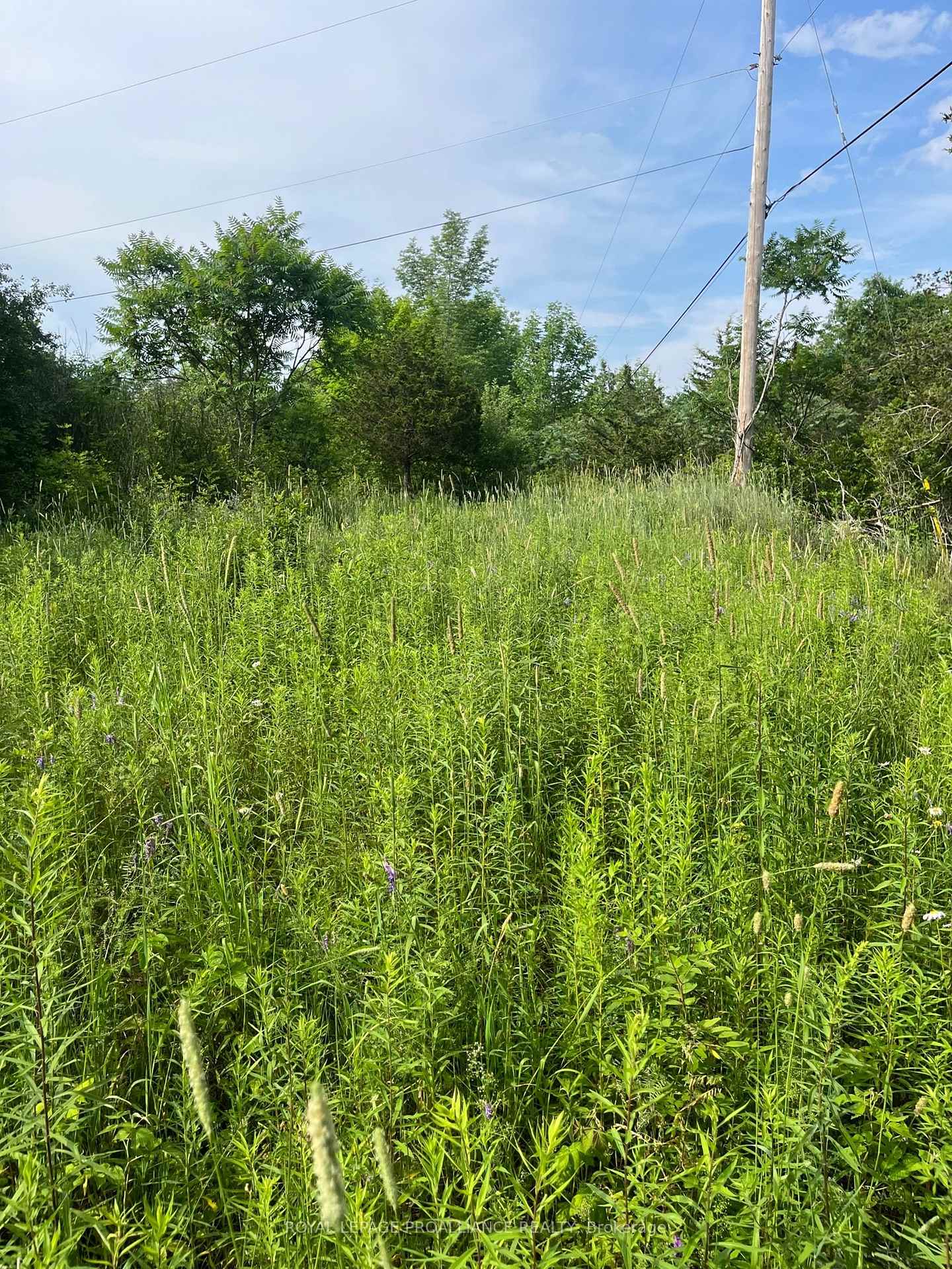 Photo 4 of PTLT14 Con 3, Rideau Lakes, Rideau Lakes (North Crosby) Twp — HOMEH