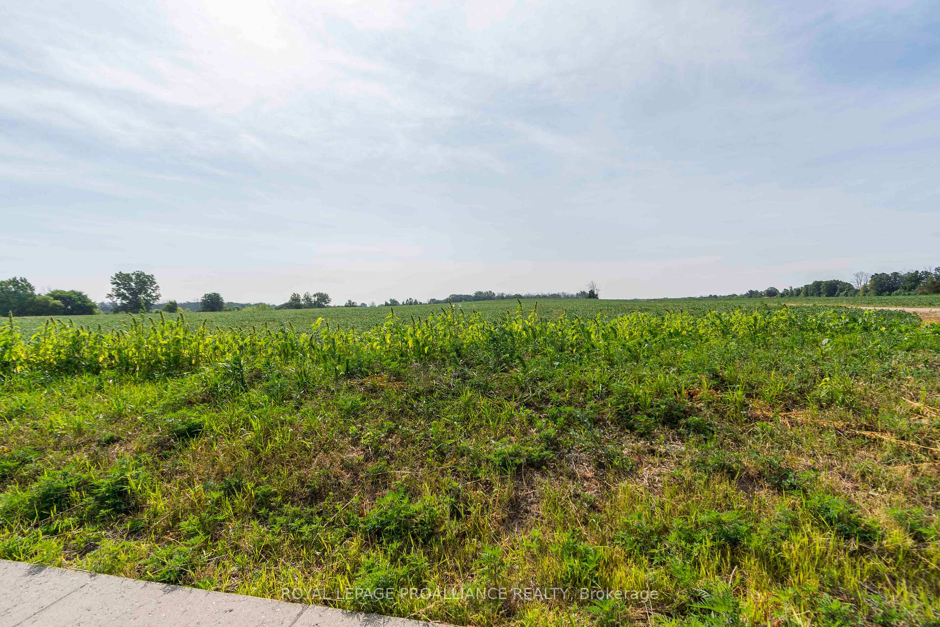 Photo 46 of 37 Dempsey Road, Prince Edward County, Ameliasburg Ward — HOMEH