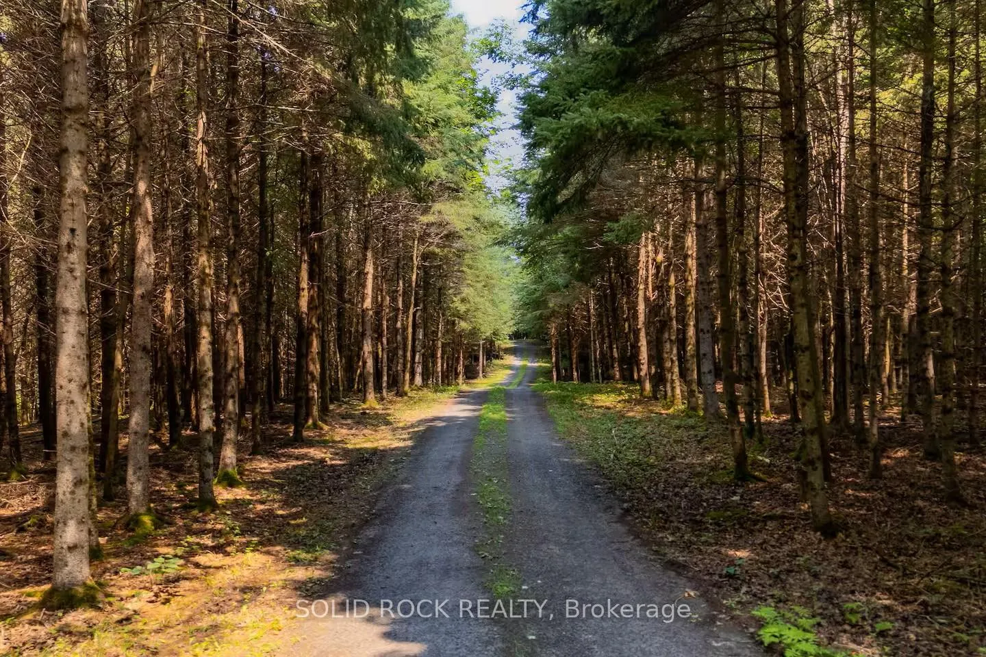 Photo 10 of 398 Coons Road, Rideau Lakes, Rideau Lakes (Bastard) Twp — HOMEH