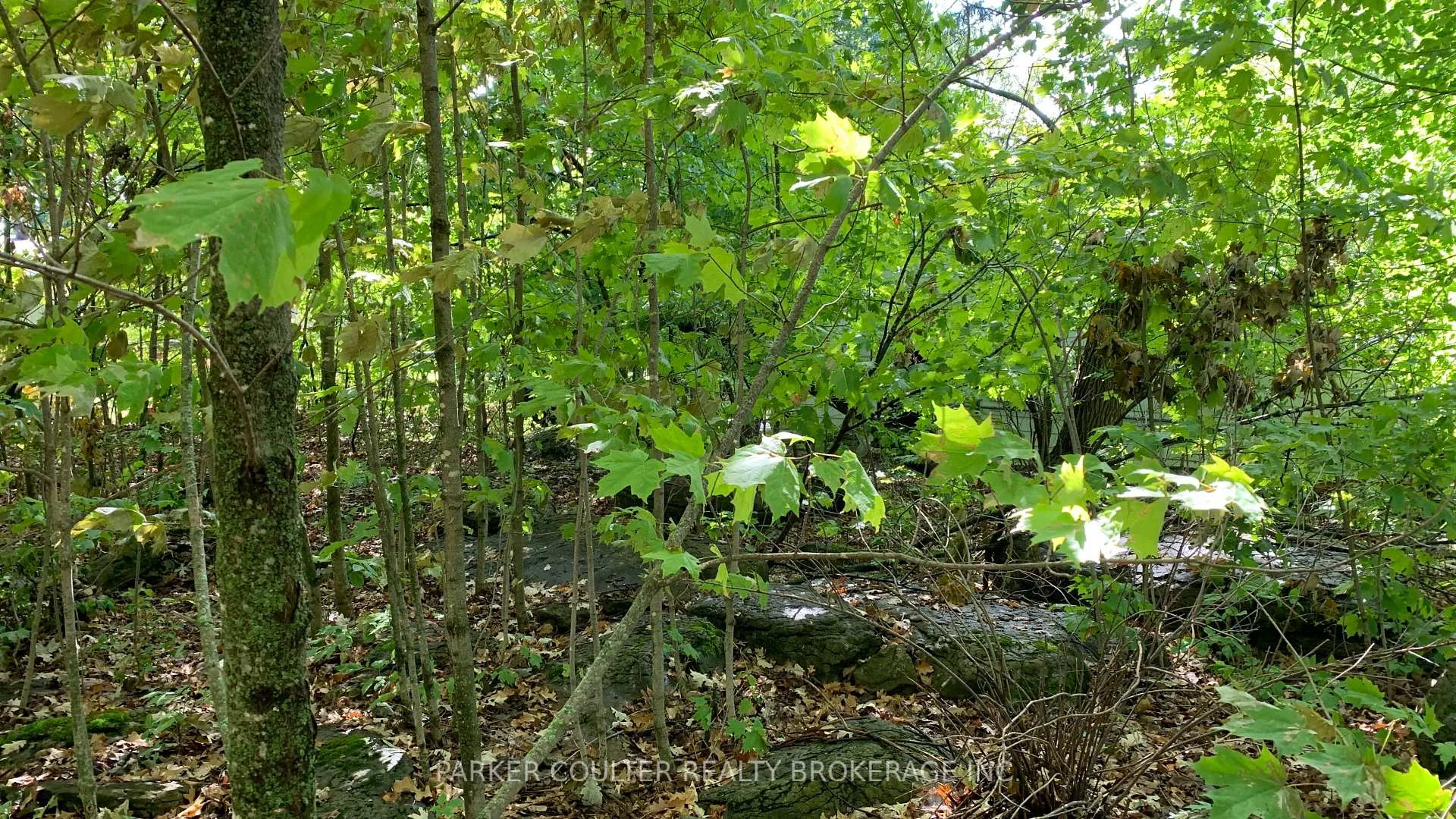 Photo 7 of 6569 Rama Road, Ramara, Rural Ramara — HOMEH