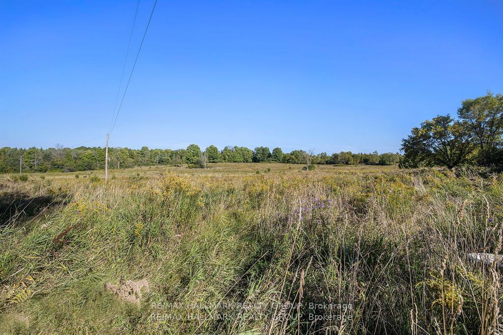 Photo 12 of Townline Road, Rideau Lakes, Rideau Lakes (Bastard) Twp — HOMEH