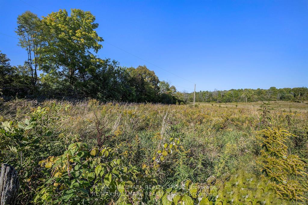 Photo 14 of Townline Road, Rideau Lakes, Rideau Lakes (Bastard) Twp — HOMEH