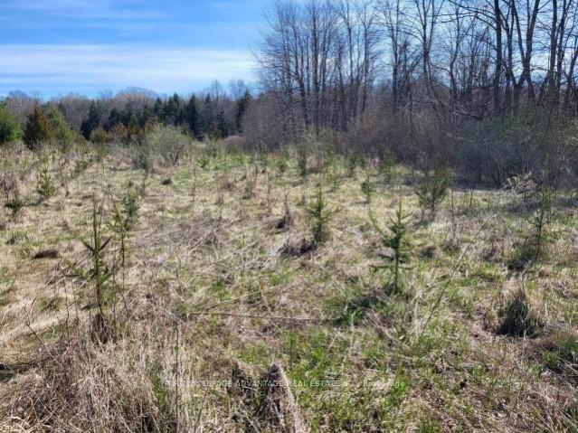 Photo 7 of Coons Road, Rideau Lakes, Rideau Lakes (Bastard) Twp — HOMEH
