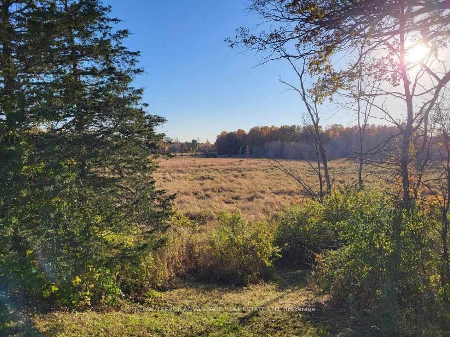 Photo 9 of Coons Road, Rideau Lakes, Rideau Lakes (Bastard) Twp — HOMEH