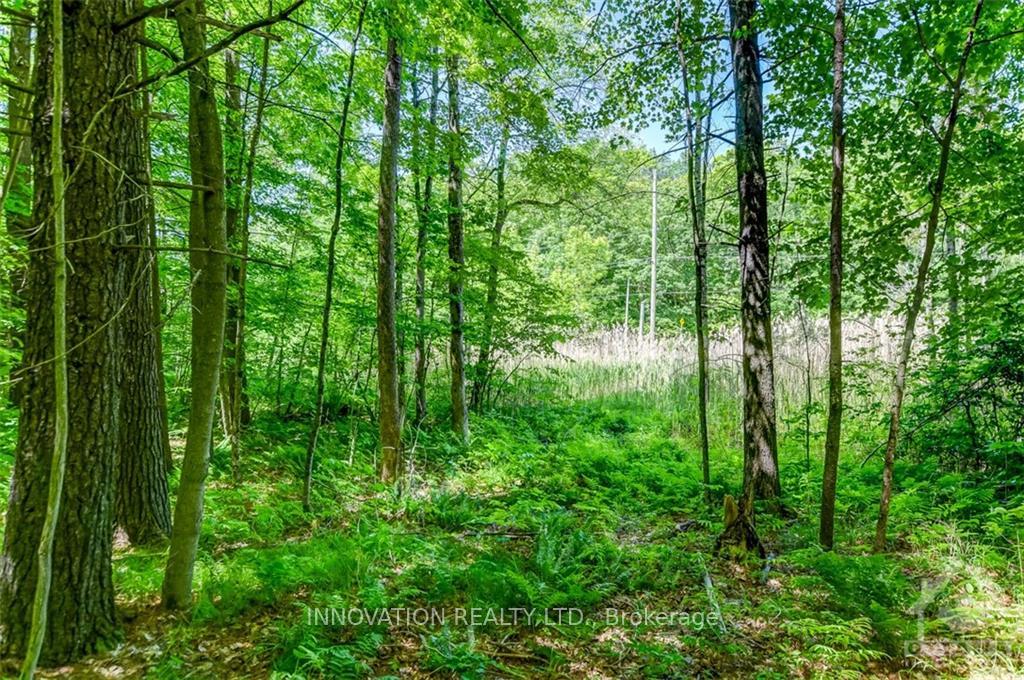 Photo 5 of 127 Jones Falls Road, Rideau Lakes, Rideau Lakes (South Crosby) Twp — HOMEH