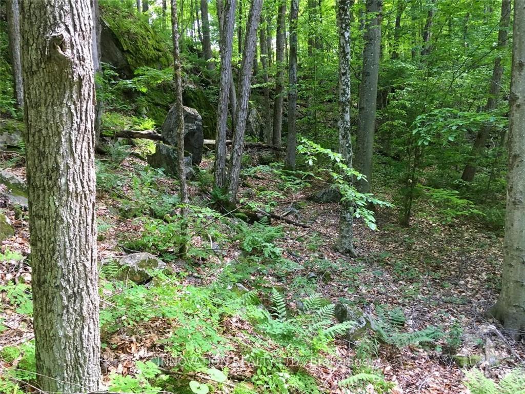 Photo 6 of 127 Jones Falls Road, Rideau Lakes, Rideau Lakes (South Crosby) Twp — HOMEH