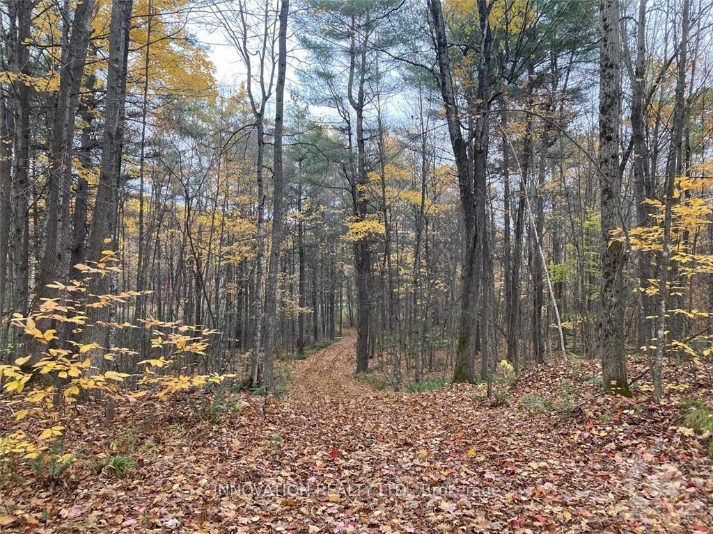 Photo 9 of 127 Jones Falls Road, Rideau Lakes, Rideau Lakes (South Crosby) Twp — HOMEH
