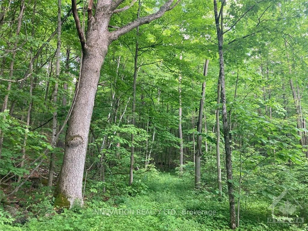 Photo 10 of 127 Jones Falls Road, Rideau Lakes, Rideau Lakes (South Crosby) Twp — HOMEH