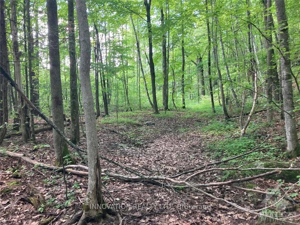 Photo 13 of 127 Jones Falls Road, Rideau Lakes, Rideau Lakes (South Crosby) Twp — HOMEH