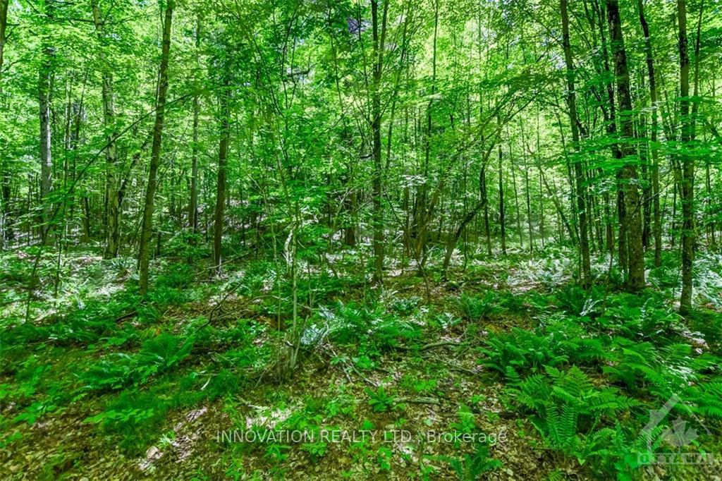 Photo 16 of 127 Jones Falls Road, Rideau Lakes, Rideau Lakes (South Crosby) Twp — HOMEH