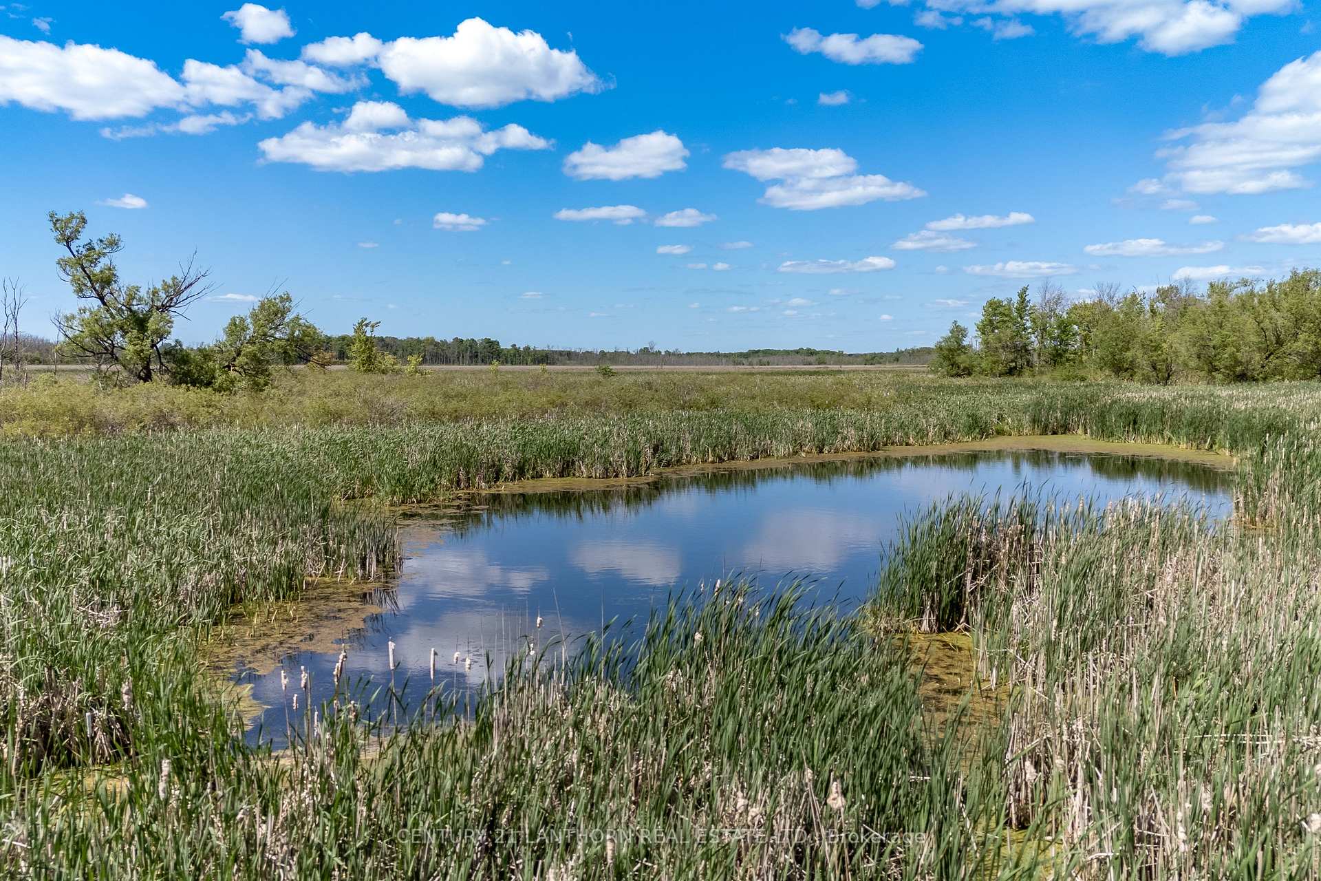 Photo 18 of 4757 County Road 8, Prince Edward County, North Marysburg Ward — HOMEH