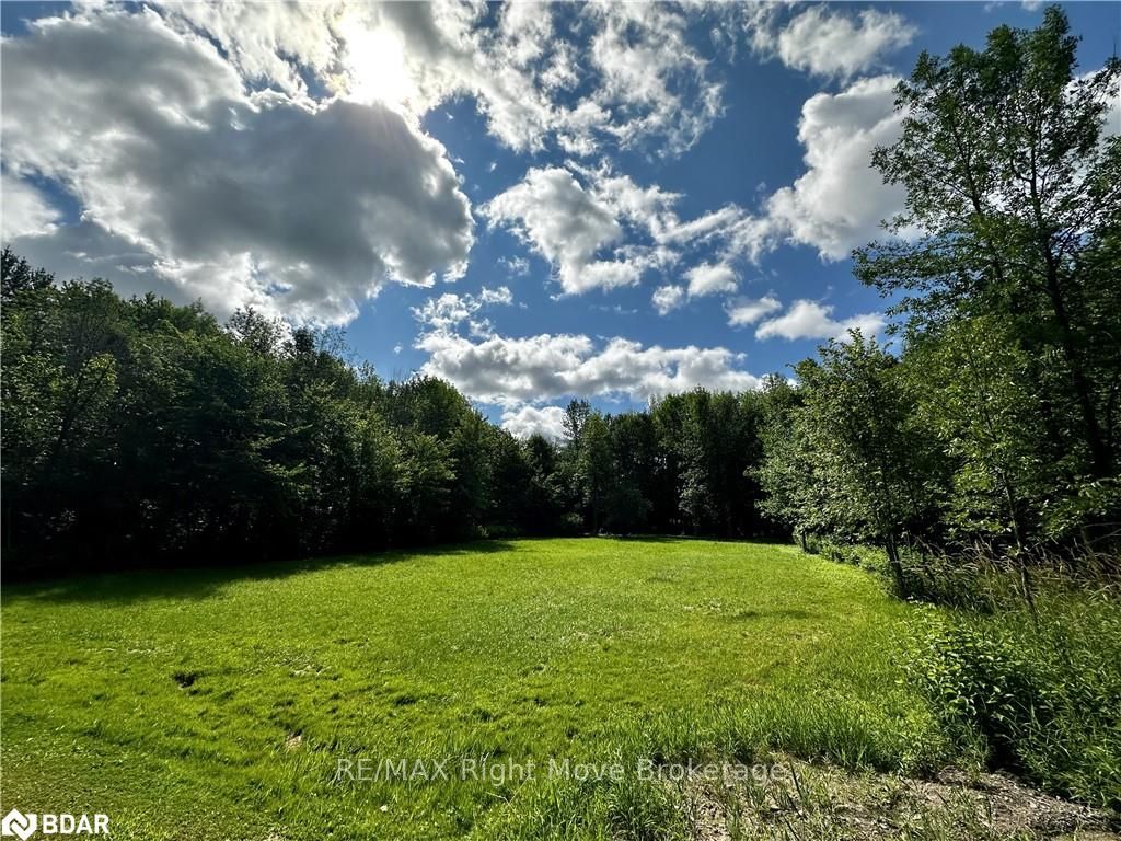 Photo 4 of 6091 Sheba Road Drive, Ramara, Rural Ramara — HOMEH
