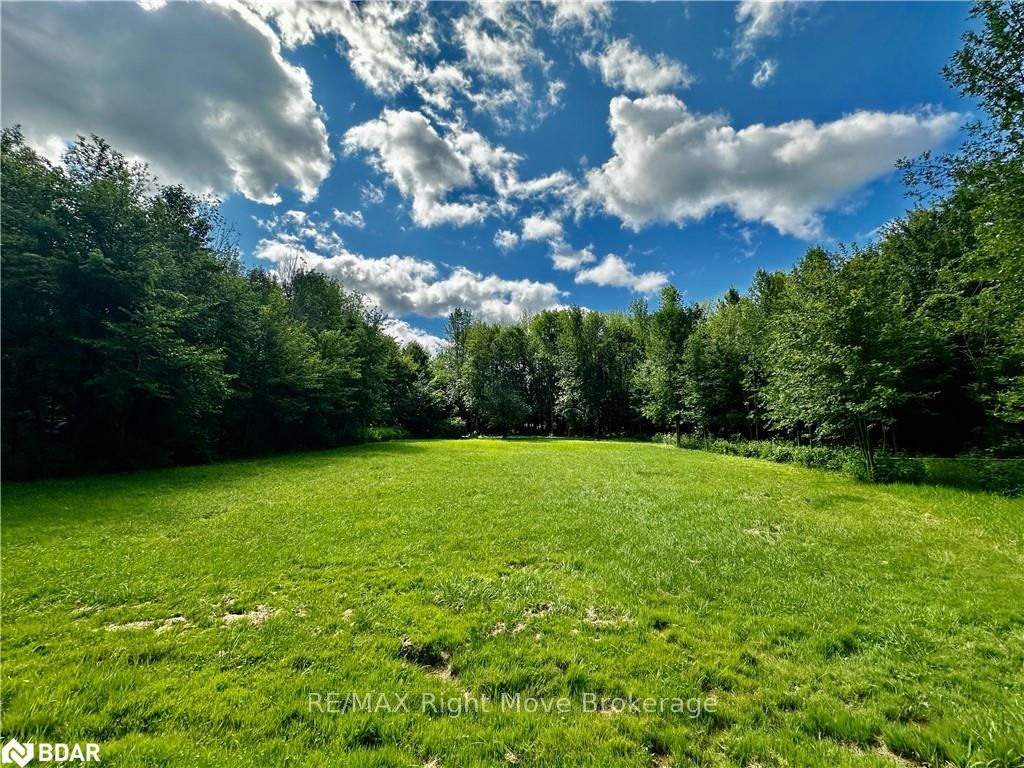 Photo 6 of 6091 Sheba Road Drive, Ramara, Rural Ramara — HOMEH