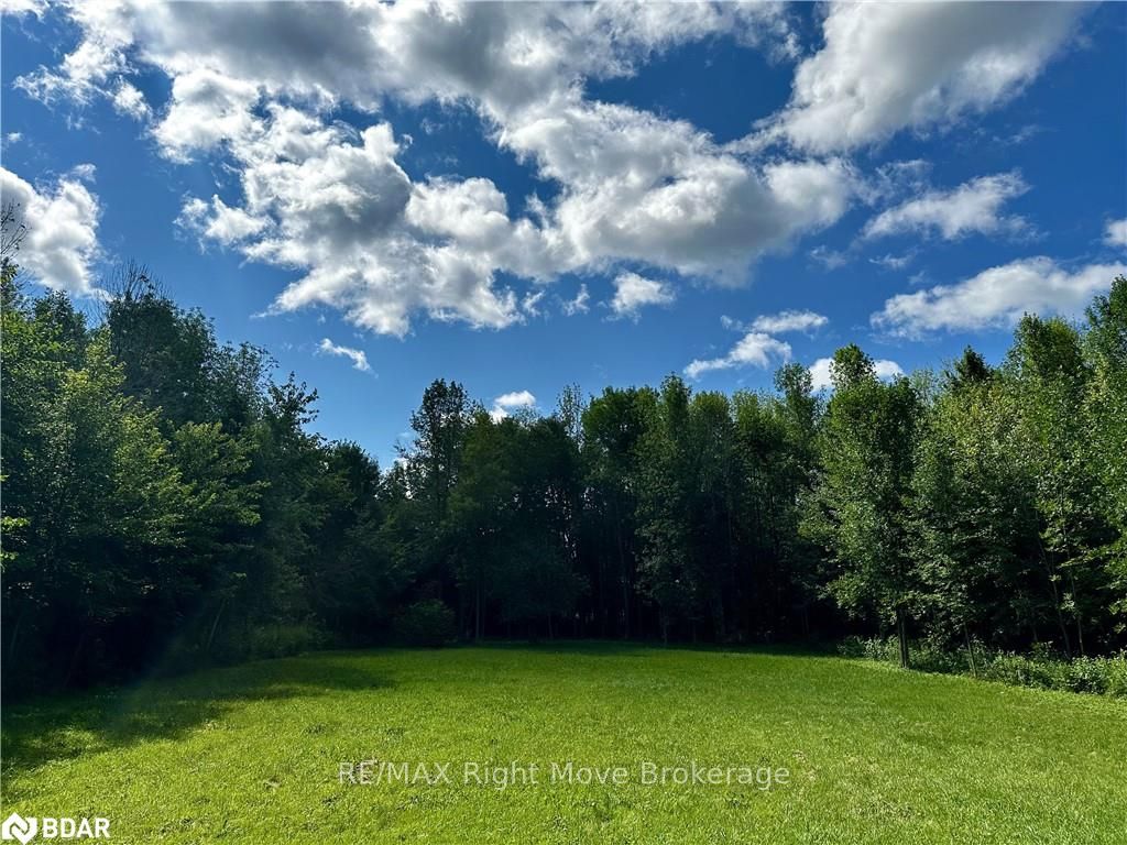 Photo 7 of 6091 Sheba Road Drive, Ramara, Rural Ramara — HOMEH