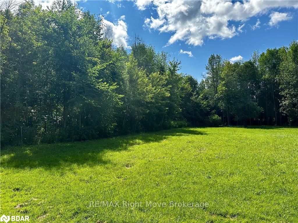 Photo 8 of 6091 Sheba Road Drive, Ramara, Rural Ramara — HOMEH