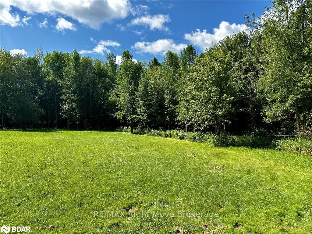 Photo 9 of 6091 Sheba Road Drive, Ramara, Rural Ramara — HOMEH