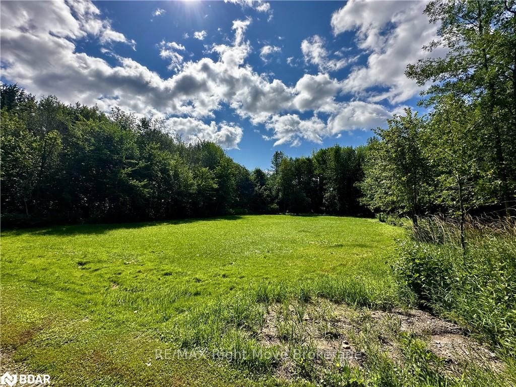 Photo 11 of 6091 Sheba Road Drive, Ramara, Rural Ramara — HOMEH