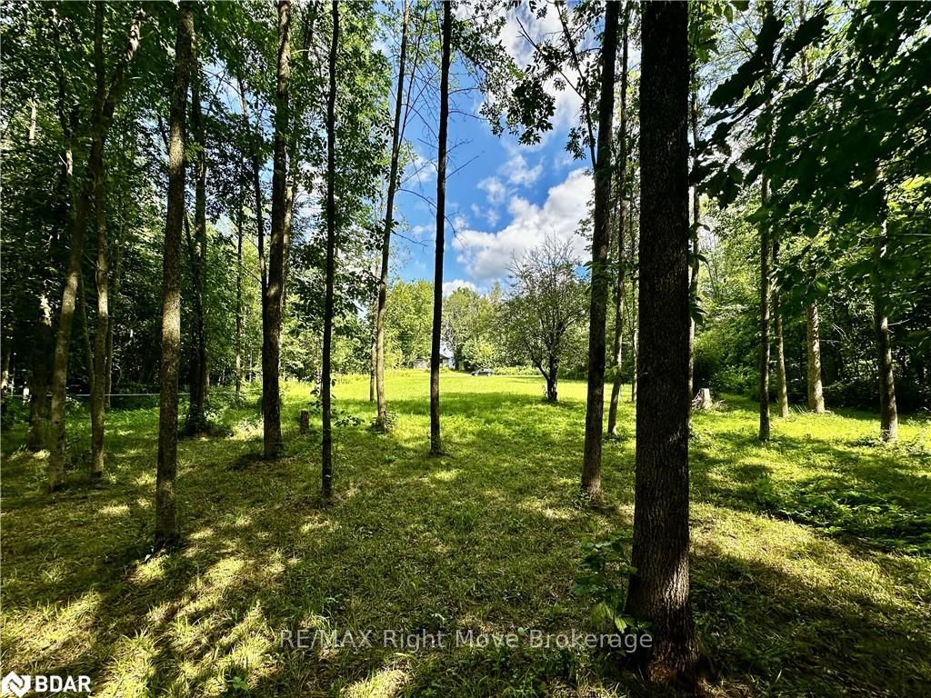 Photo 12 of 6091 Sheba Road Drive, Ramara, Rural Ramara — HOMEH
