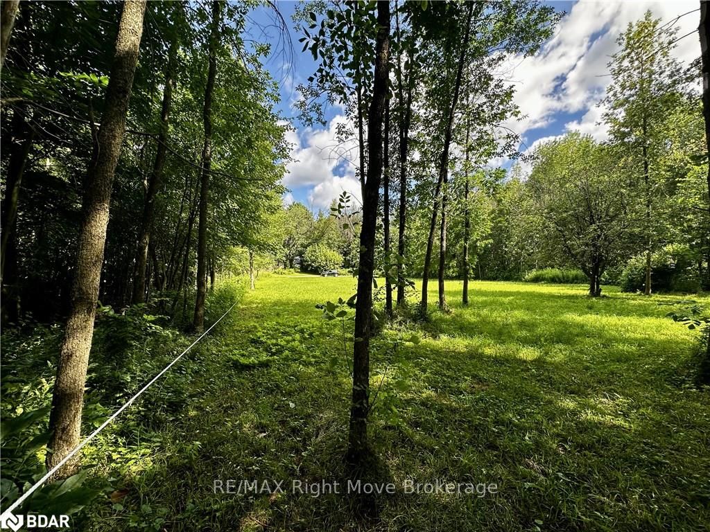 Photo 14 of 6091 Sheba Road Drive, Ramara, Rural Ramara — HOMEH