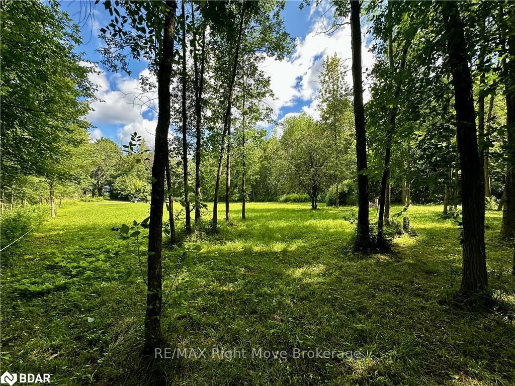 Photo 15 of 6091 Sheba Road Drive, Ramara, Rural Ramara — HOMEH