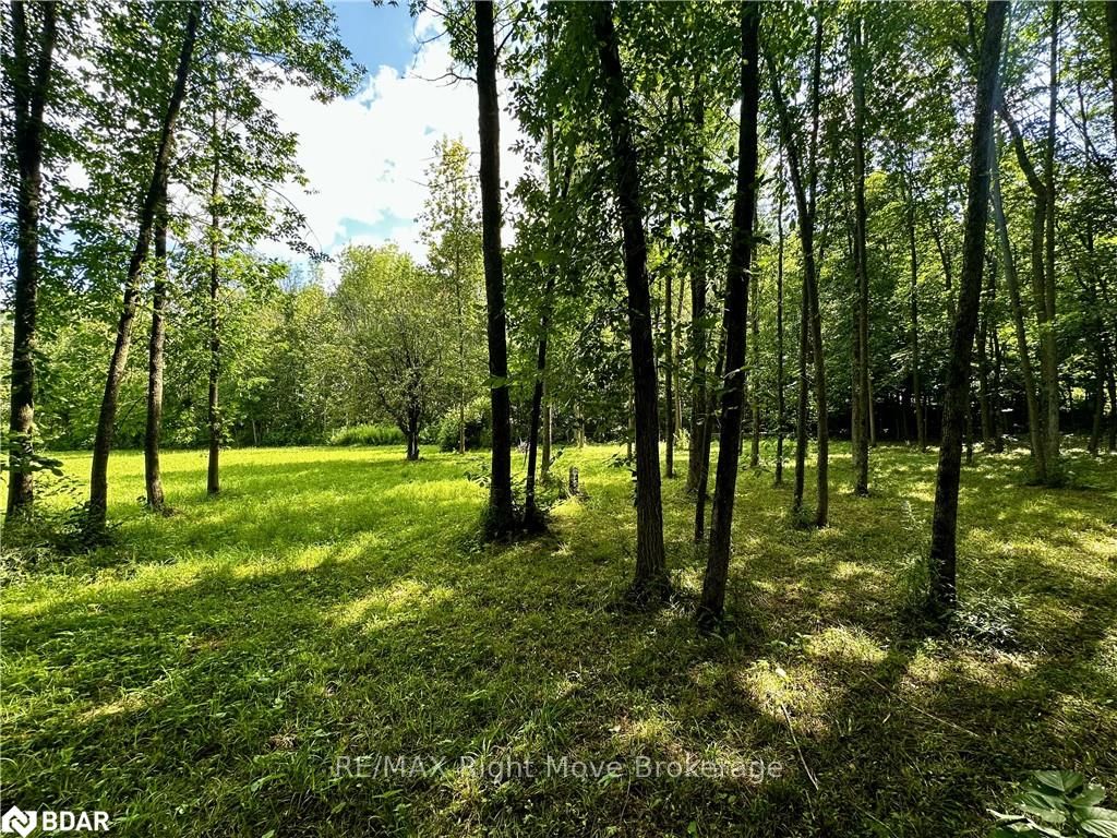 Photo 16 of 6091 Sheba Road Drive, Ramara, Rural Ramara — HOMEH