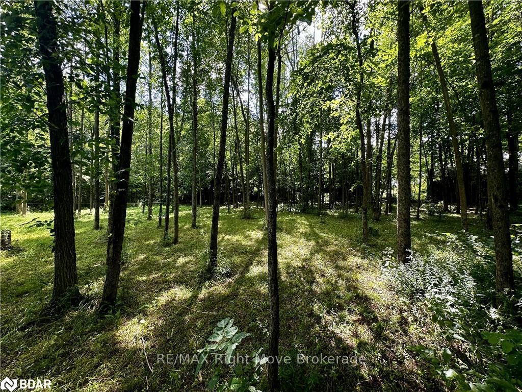 Photo 17 of 6091 Sheba Road Drive, Ramara, Rural Ramara — HOMEH